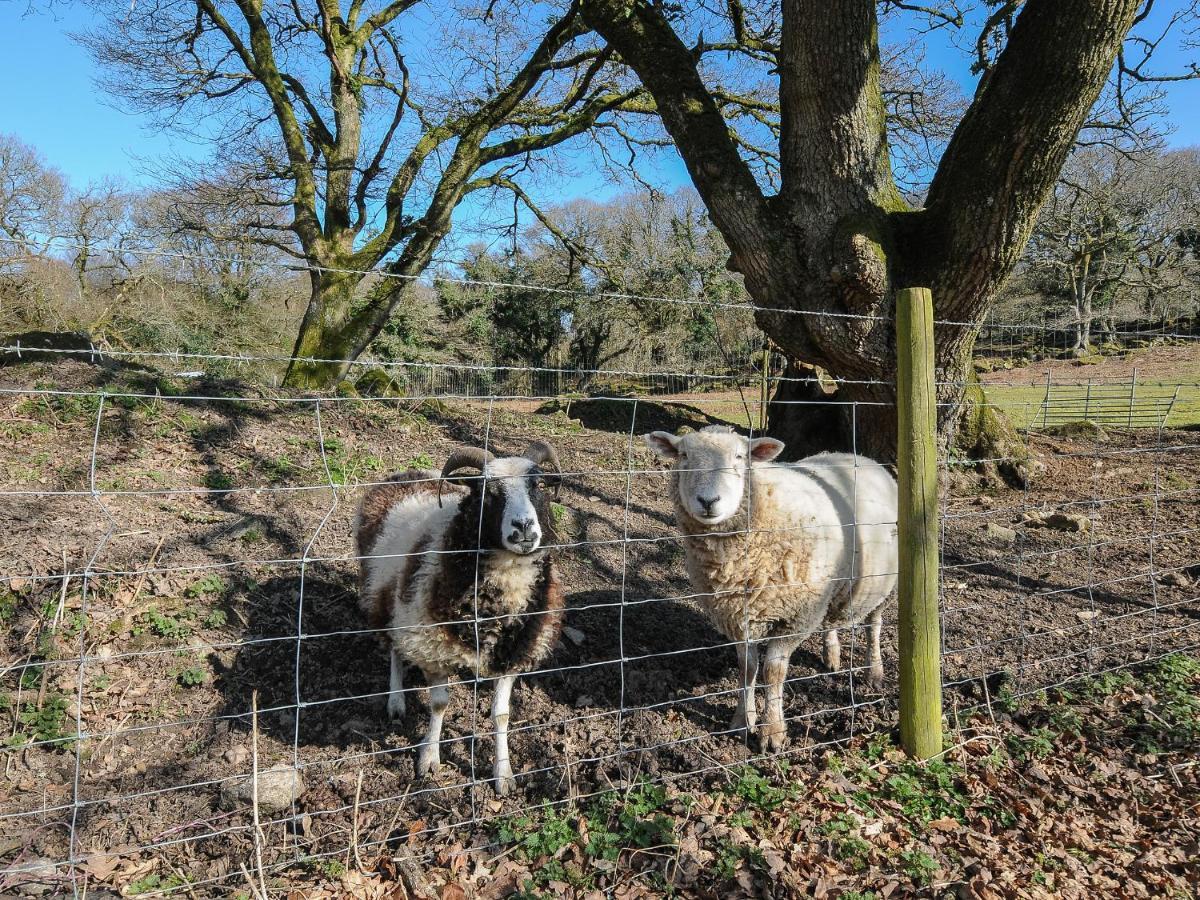 Pencarrow Villa Bodmin Bagian luar foto